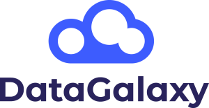 DataGalaxy Logo
