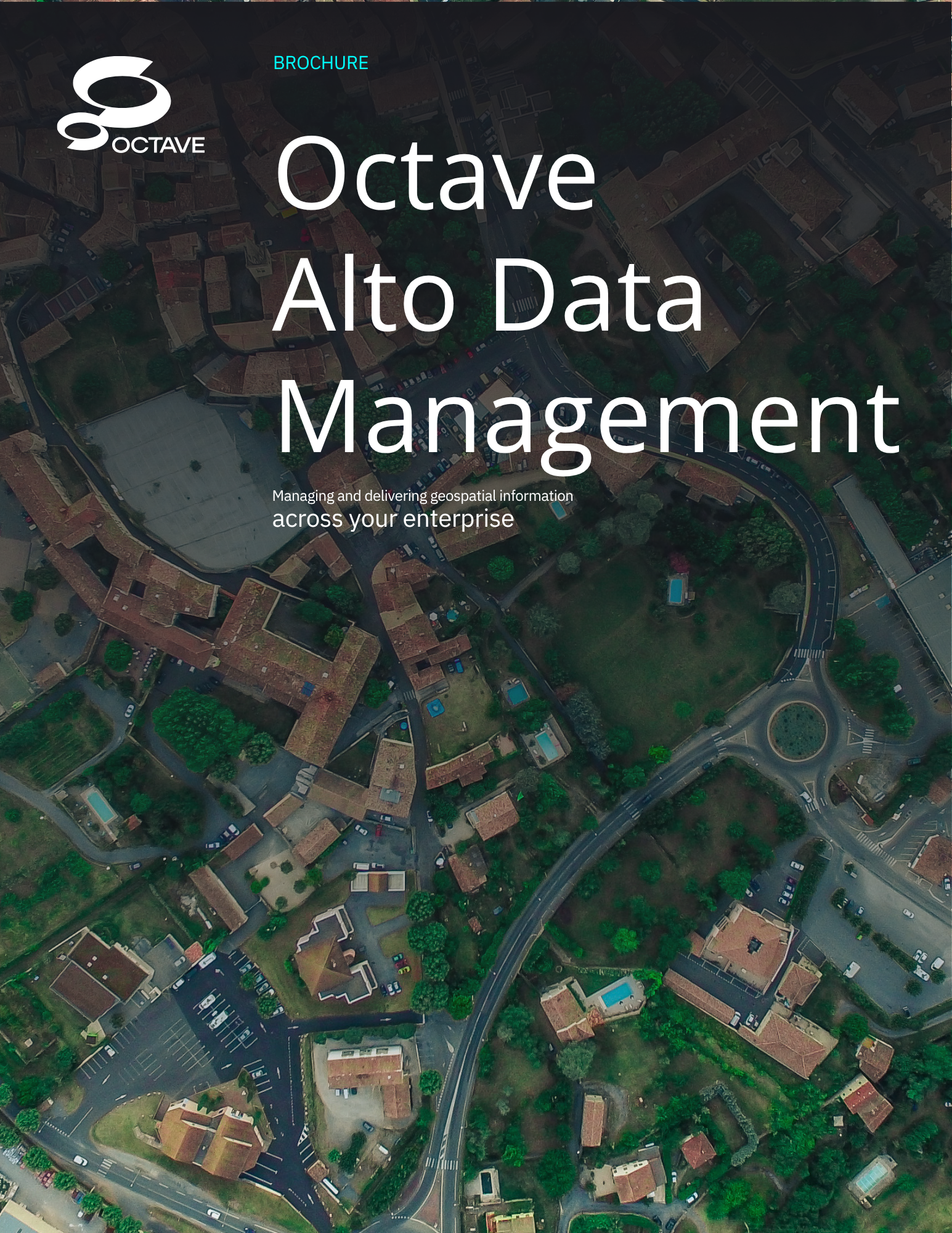 Octave Alto Data Management