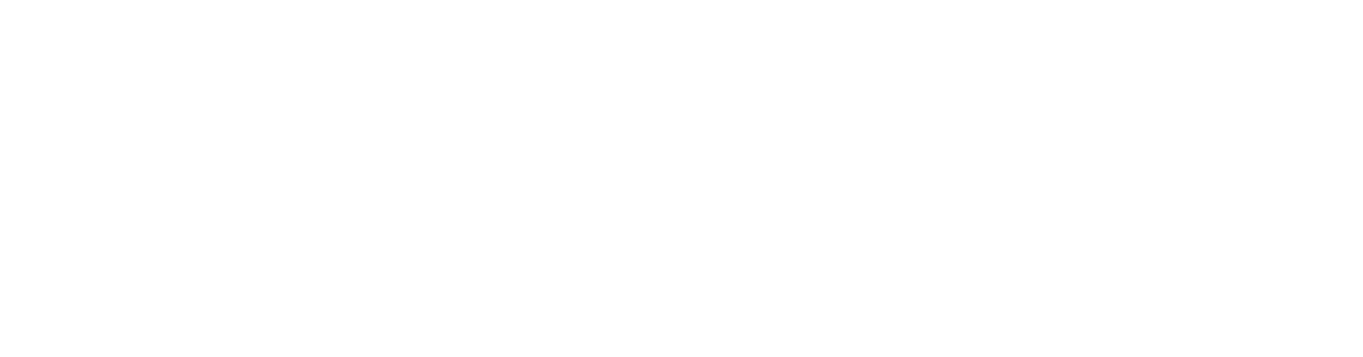 Sisense White Logo